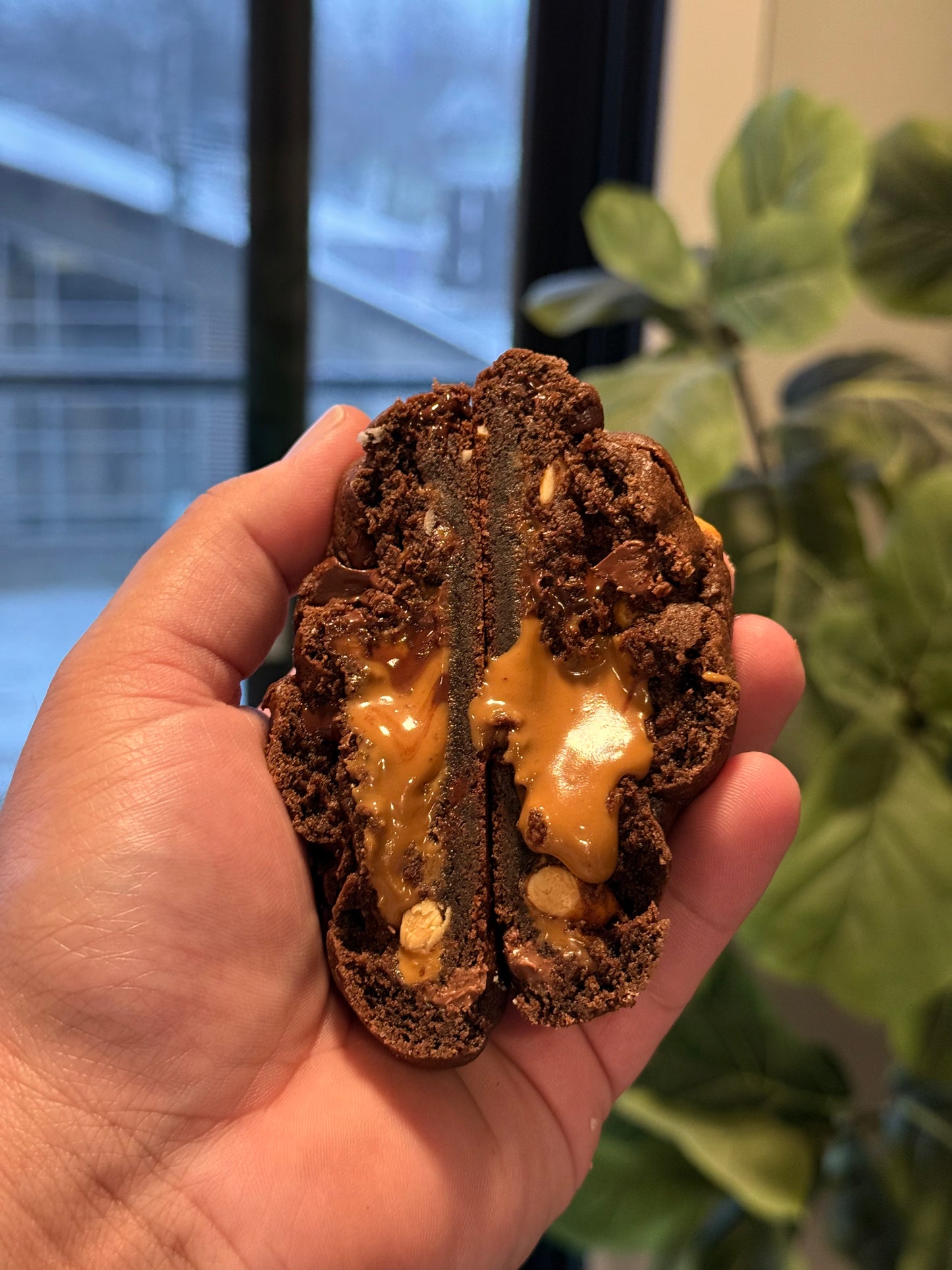 Biscoff chocolate peanut butter