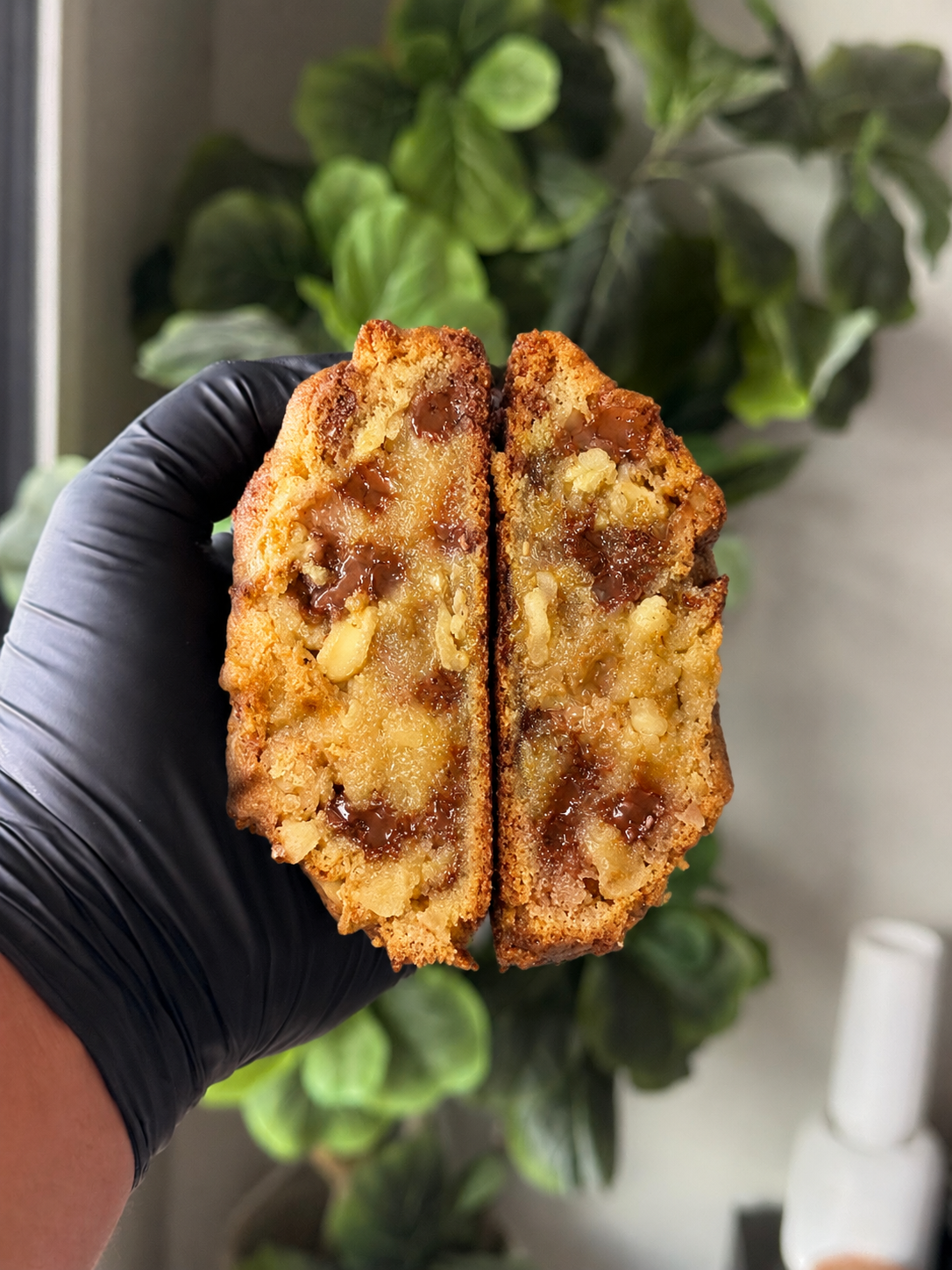 Walnut Chocolate Chip