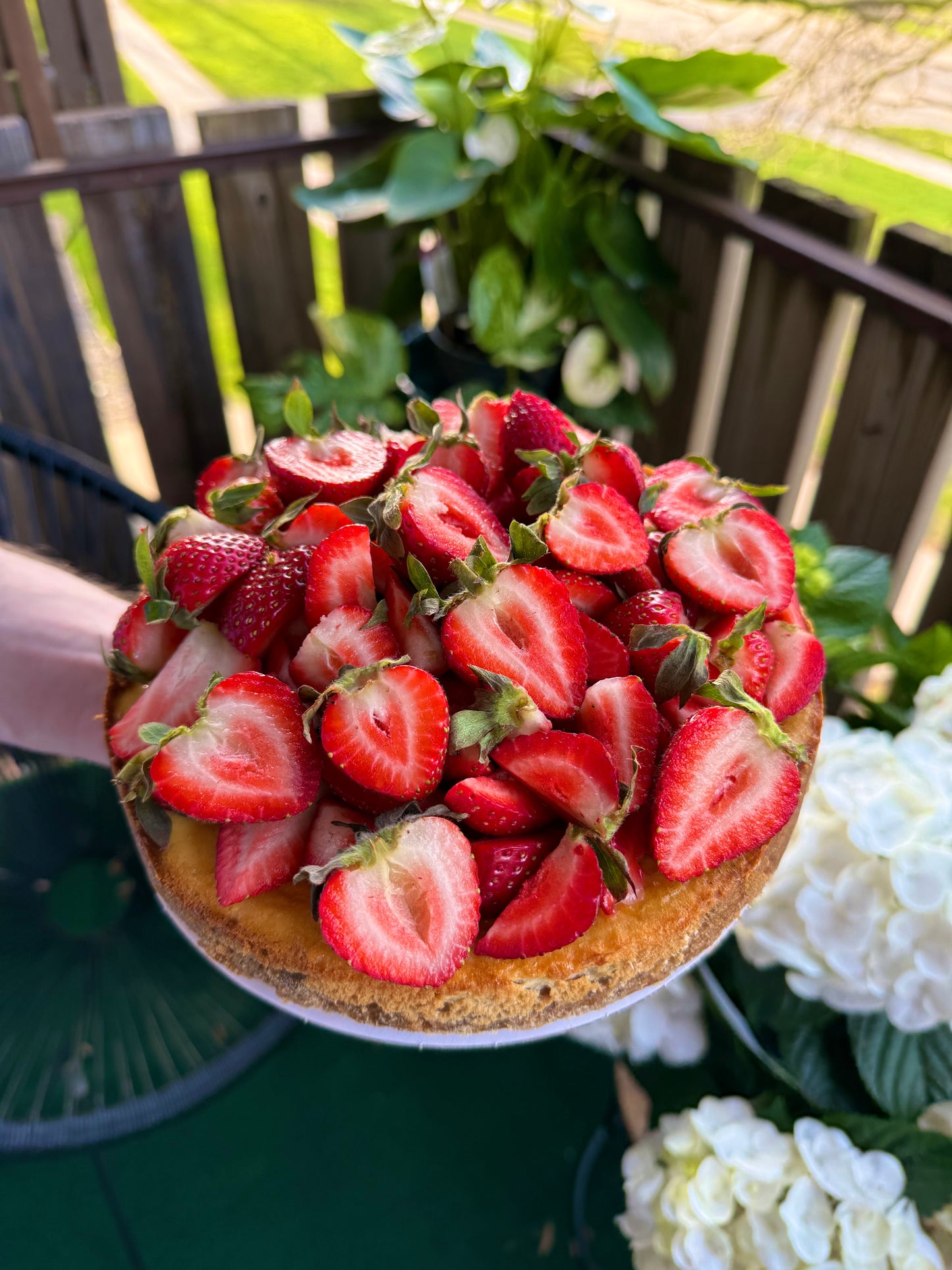 Strawberry 9"