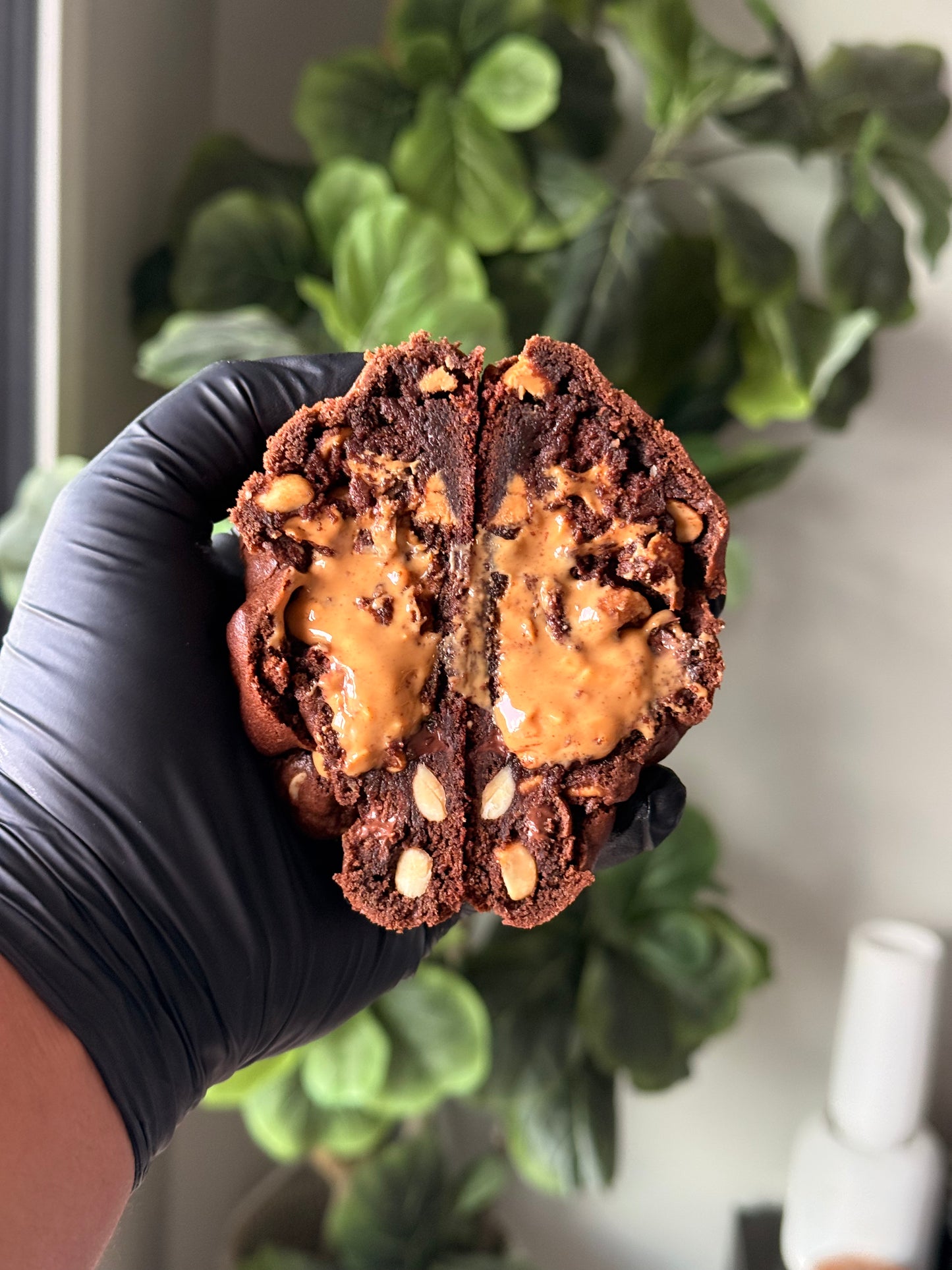 Chocolate Peanut Butter Crunch